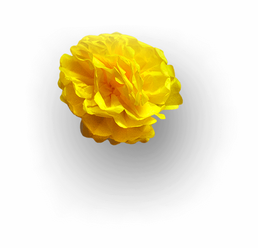Tango flower